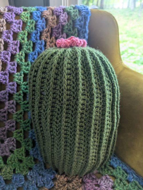 Crocheted Cactus Website Launch!